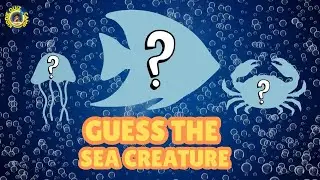 🌊🦈 Underwater Mystery Quiz &ndash; Can You Guess the Sea Creature?
