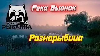 РР4 #11Река Вьюнок. Идеальная точка для Новичка.