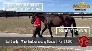 No Never No More (KY): Scat Daddy &ndash; Whostheclownnow, by Tiznow | Fee: $2,500 S&N