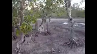 rocsta in the mud compilation 2.wmv