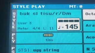 Tes Style 2022 korg PA300