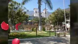 El platanar...