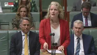 Labor&rsquo;s &lsquo;single priority&rsquo; is community safety after 80 were freed from immigration detention