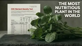 The Most Nutritious Plant In The World, According To CDC &mdash; Why Don&rsquo;t You Know About It?