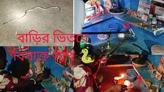 বাড়ির ভিতরে বিষাক্ত সাপ 🐍 কত বড় বিপদজনক ঘটনা ||snakevlog #villagevlog #longvideo 