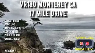 VR180 Monterey CA - 17 Mile Drive Experience - Lone Cypress Tree (With Fam)