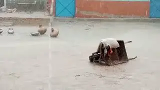 💙Umerkot man barash horai ha 1 houre  sa💓(3)