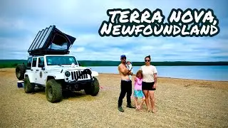 Eaten Alive by Bugs in Terra Nova, Newfoundland | 4K