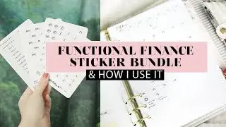 BUDGET FINANCE STICKER BUNDLE ARIEBEA