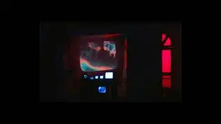 Puce Mary Live (Guadalajara/316 Showcase)