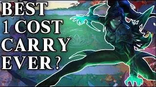 The 1 Cost That Completely Broke The Meta - TFT History