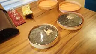 Pu-Erh &mdash; The Most Expensive Tea On Earth  &mdash; 1910&rsquo;s Fu Yuan Chang