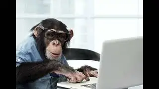 'monkey on a string' by lep negro