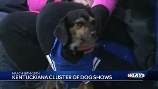 Kentuckiana cluster of dog shows put on by Mid-Kentucky and Louisville Kennel Clubs