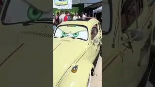 Fusca verde #fusca #carros #raros #classicos #carrosantigos #vlog #lifestyle #placapreta #vwfusca
