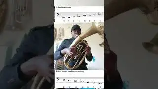 Small tuba E-flat major.