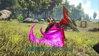 ARK EPIC FAILS!!!!
