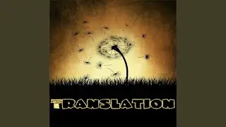 Translation