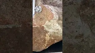 B&uuml;y&uuml;k Baba G&ouml;ktaşı ☄️ #meteorite #martian #nakhlite #macro #nickel #olivine #augite #crystals