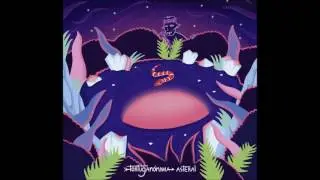 Tortuganónima - Corrientes