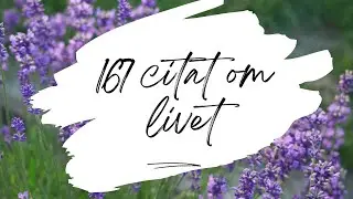 167 Top Citat om Livet för din Inspiration på svenska // Inspirerande och motiverande citat 