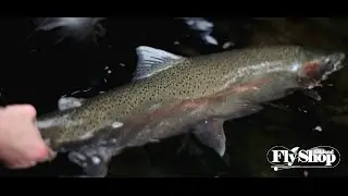 Ashland Fly Shop Fishing Report January 21 2016