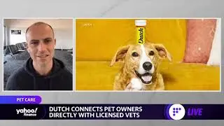 Dutch CEO on connecting pet owners and veterinarians for treatment of chronic conditions