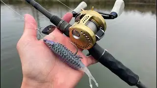 We Caught A Fish On EVERY Cast! (GIANT Fish Caught!)