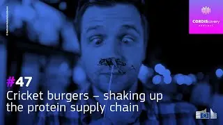 [CORDIScovery podcast] Cricket burgers &ndash; shaking up the protein supply chain