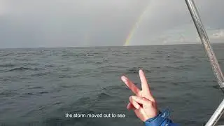 Sailing: Sydney to Pittwater, eagle, whales, storm, rainbows