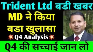 trident share news | trident share latest news | trident q4 results 2022 | trident share