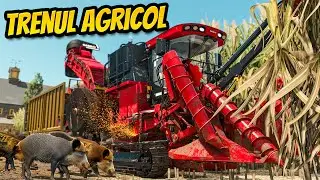 PLANTATIA DE ZAHAR SI CEA MAI TARE INVENTIE PENTRU PALETI! Fs 25 Ep.134