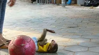 Wow, Please Have A Look! Dodo Make Fun When Playing With Mama, Dodo Is Smart