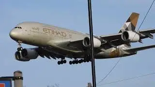 Britains favorite plane spotting location , Myrtle Avenue LONDON 🇬🇧Super Low ✈️