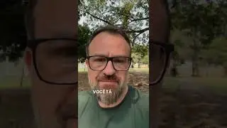 Descubra o papel do VMO no sucesso a longo prazo.