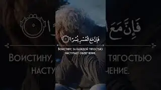 сура Корана - 