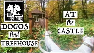 Dogos find TREEHOUSE | Movie Night with Mia | Day 3 Blackberry CASTLE | Vlog 16
