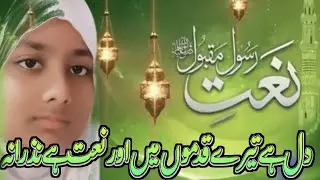 Naat||Nate Nabi||Dil Hai Tere Qadmon Men||Rings Of life7449