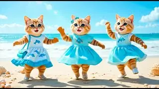 बिल्ली डांस | Cutest Cat videos funny🤣💃dance Videos for cats #funny #dancingcat #cat