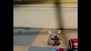 mouse eating alone :(