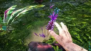 Ark Crystal Isles :: Rough Start :: ArkCr-1