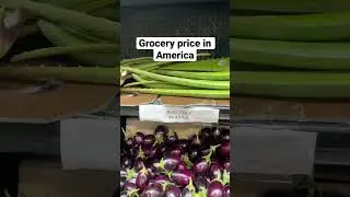 Price of Indian grocery in America | sabji k rate | Things about America you will be shocked to know