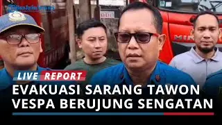 Evakuasi Sarang Tawon Vespa di Bangkalan Berujung Sengatan, Warga dan Damkar jadi Korban