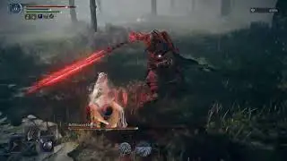 Everdark Sentient Pest vs. Undertaker (Iron Ball) | Elden Ring - Nightreign
