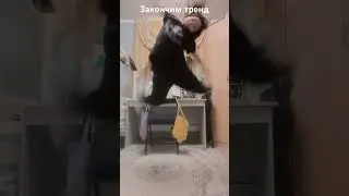 Заканчиваем тренд #dance #disney
