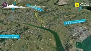 티라노사우루스  