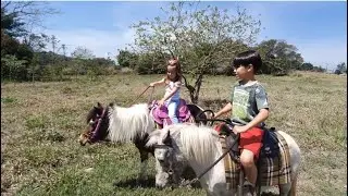 CRIANÇA ANDANDO DE CAVALO, MARI GANHOU UMA SELA NOVA, NOSSAS PÔNEI ESTRELA E PÉROLA.