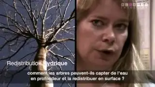 ECOSFIX - ITW ALEXIA STOKES - le projet - 2012