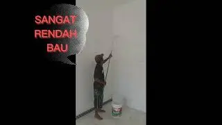 CAT ANTI NODA DARI NIPPON PAINT 