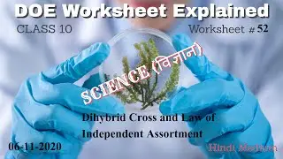 Worksheet 52 Class 10 DOE | 06-11-2020 Dihybrid Cross and Law of Independent Assortment |